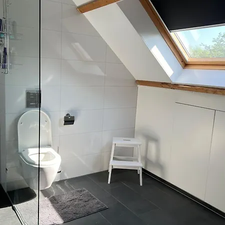De Gouwe Leeuw Apartment Woerdense Verlaat