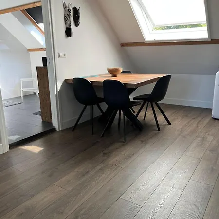 De Gouwe Leeuw Apartment *