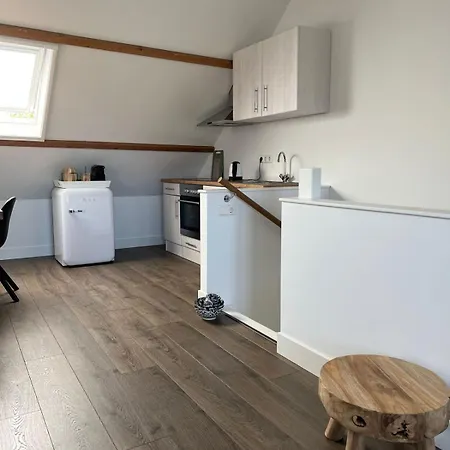 Apartment De Gouwe Leeuw
